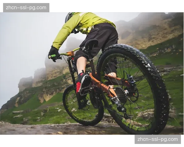 研究报告：山地车运动为阿尔卑斯山地区创造年均数十亿欧元经济效益